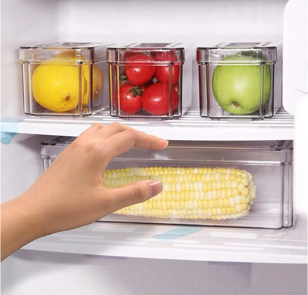 Boites de conservations hermétiques en plexiglass