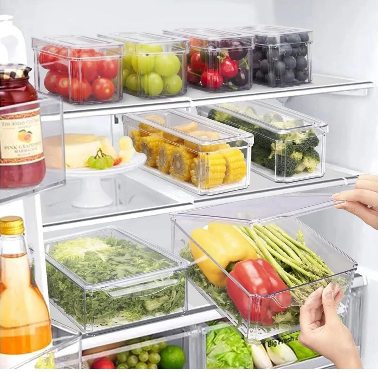 Boites de conservations hermétiques en plexiglass