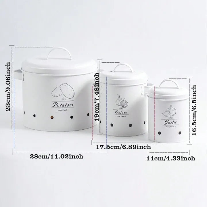 Lot de 3 boites de conservations de légumes