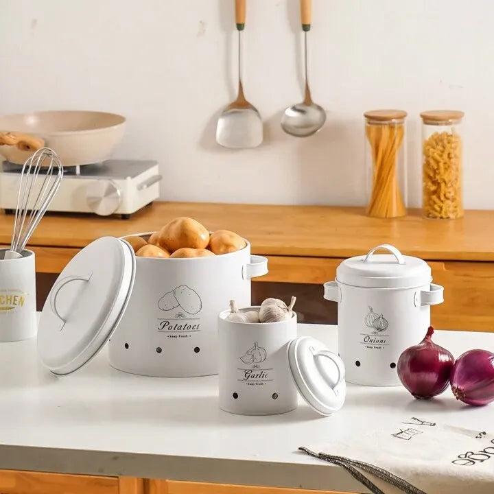 Lot de 3 boites de conservations de légumes