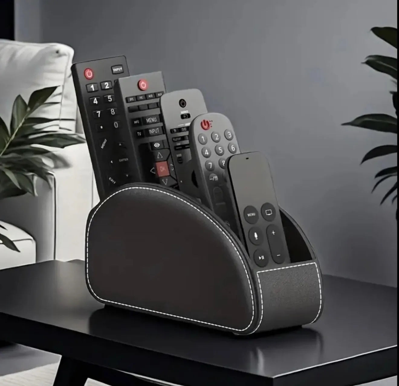 Organisateur de télécommandes